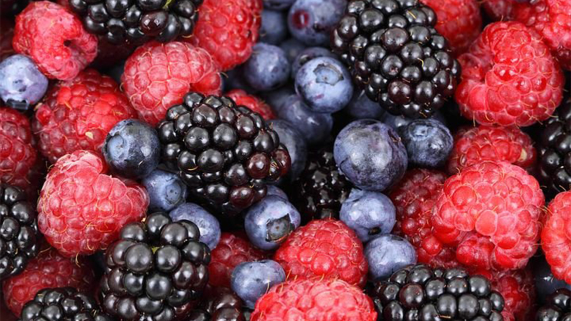 Vitamin B12 Himbeeren, Heidelbeeren, Brombeeren